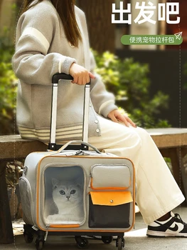 Сумка для кошек, переносной уличный чемодан для домашних животных, чемодан для маленькой собаки, сумка для собак, высококачественная сумка для кошек-антистресс